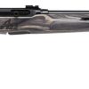 SAVAGE ARMS A22 22MAG BL/LAM 22" T'HOLE