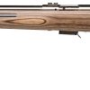 SAVAGE ARMS 93 BOLT 17HMR SS/LAM THBHL LH
