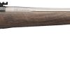 BRN 036077299 XB2 MCM LR WHD MB,6.8 WST
