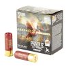 FED PR STRM 12GA 2.75" #5 25/250