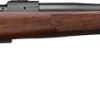 CZ 600 PLUS AMERICAN 223 REM - 24" BLACK WALNUT STOCK