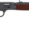 HENRY H12 BIG BOY SIDE GATE - 45LC 20" BLUED WALNUT