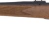 WEATHERBY VANGUARD SPORTER - 223 REMINGTON 24" TB WALNUT
