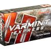 HRNDY 22-250  55GR VMAX 20/200