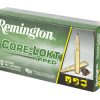 REM 308 WIN 180GR CLOK TIPPED 20/200