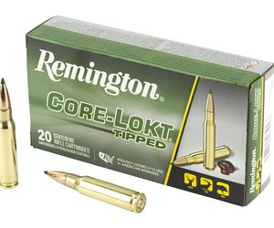 REM 308 WIN 165GR CLOK TIPPED 20/200