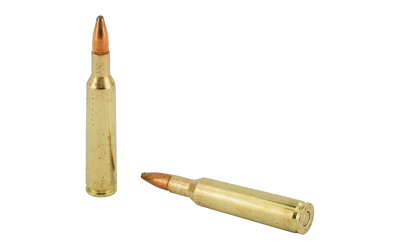 REM 6MM REM 100GR PSP CL 20/200