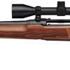 SAV AXIS 2 XP HARDWOOD 22-250REM 22 LH