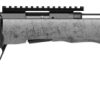 SAV B17 TIMBERLITE THUMBHOLE 17HMR 18 10RD