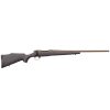 WBY VANGUARD BRONZE 24 22-250 WEATHERGUARD