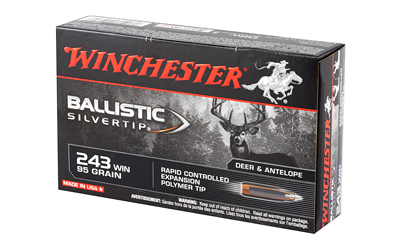 WIN BLSTC TIP 243WIN 95GR 20/200