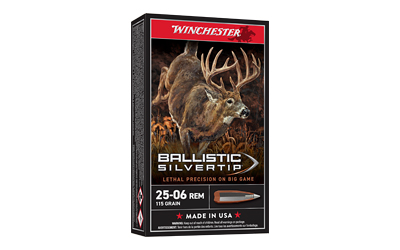 WIN BLSTC TIP 2506RM 115GR 20/200