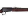 HENRY REPEATING ARMS H3 FRONTIER PUMP 22LR BL/WD