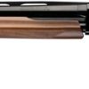 WINCHESTER SXP HG UPLAND FIELD - 20GA 3" 28"VR BLUED WALNUT