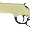 HENRY GOLDENBOY DELUXE 4TH ED. - ENGRAVED 22WMR