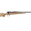 HOWA M1500 HUNTER 25CM 22" TB WLNT