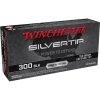 WIN SILVERTIP 300BLK 150GR DT 20/10