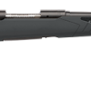 SAVAGE ARMS 110 HUNTER 308WIN BL/SYN 22" #